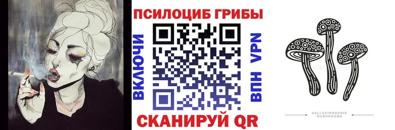 KRAKEN tor  Шахты  Галлюциногенные грибы Psilocybe  купить наркоту 